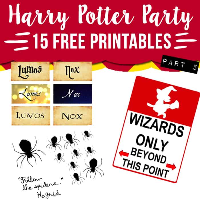 Harry Potter DIY Free Photo Booth Props., Here are some Har…