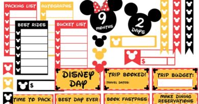 Free Printable Disney Vacation Planner Stickers Countdown and functional stickers to help you prepare and budget your Disney trip #disney #disneyvacation #planner #plannerstickers #freeprintable #lovelyplanner