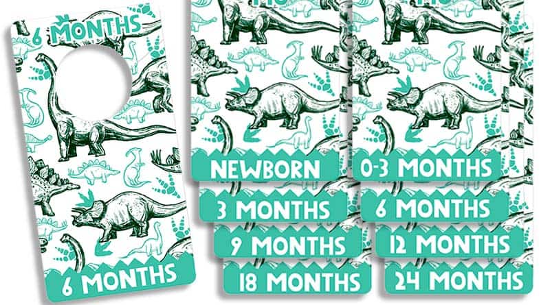 Free Printable Baby Closet Dividers- Dinosaurs #freeprintable #baby #nursery #nurserydecor #dinosaurs #babyboy #lovelyplanner