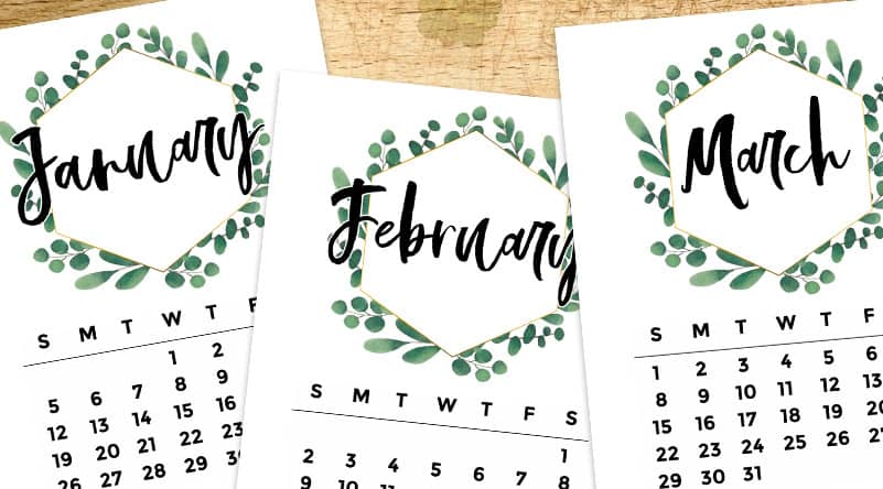 Free Printable 2020 Monthly Calendar - Eucalyptus Wreath