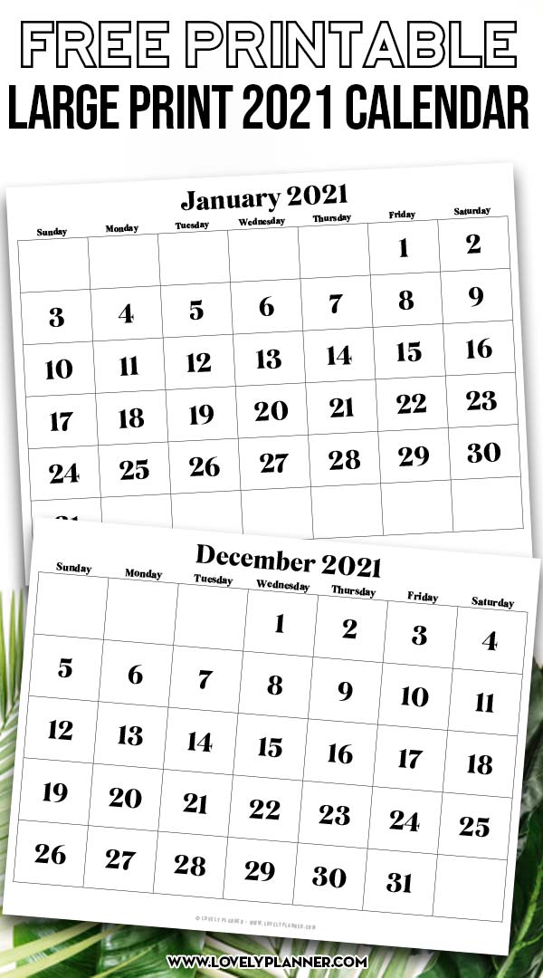 Free Printable Large Print 2021 Calendar - 12 month ...