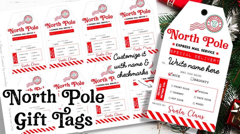 DIGITAL PRINTABLE Secret Santa Funny Gift Tags Set of 24 for 