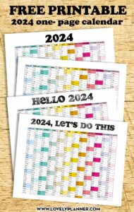 Free Printable 2024 One Page Calendar Landscape - Rainbow - Lovely Planner