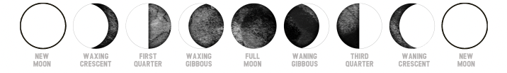 Moon Phases Detailed Calendar